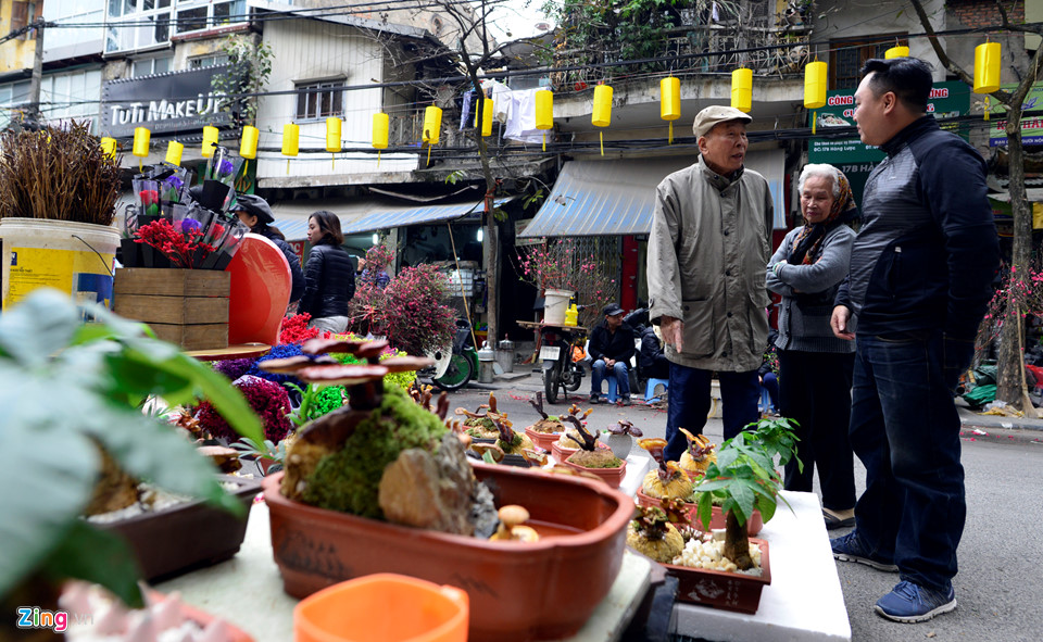 Nấm linh chi biến thành cây cảnh trưng bày dịp Tết